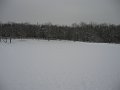 IMG_1861