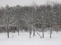 IMG_1862