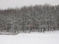 IMG_1865