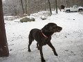 IMG_1881