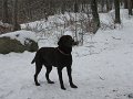 IMG_1882
