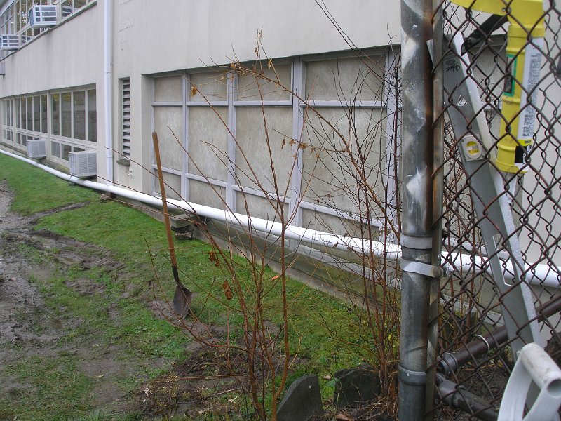 P1010288.JPG
