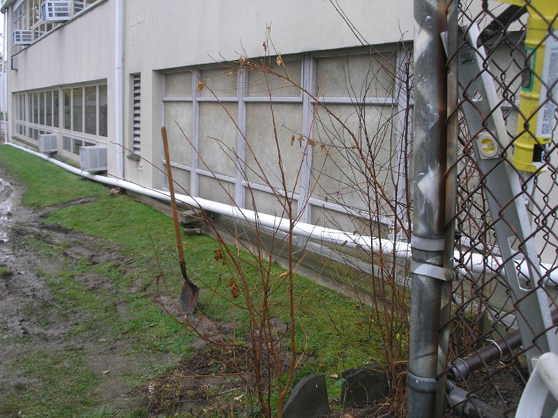 P1010289.JPG