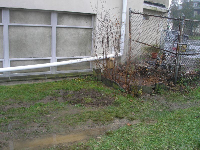 P1010310.JPG