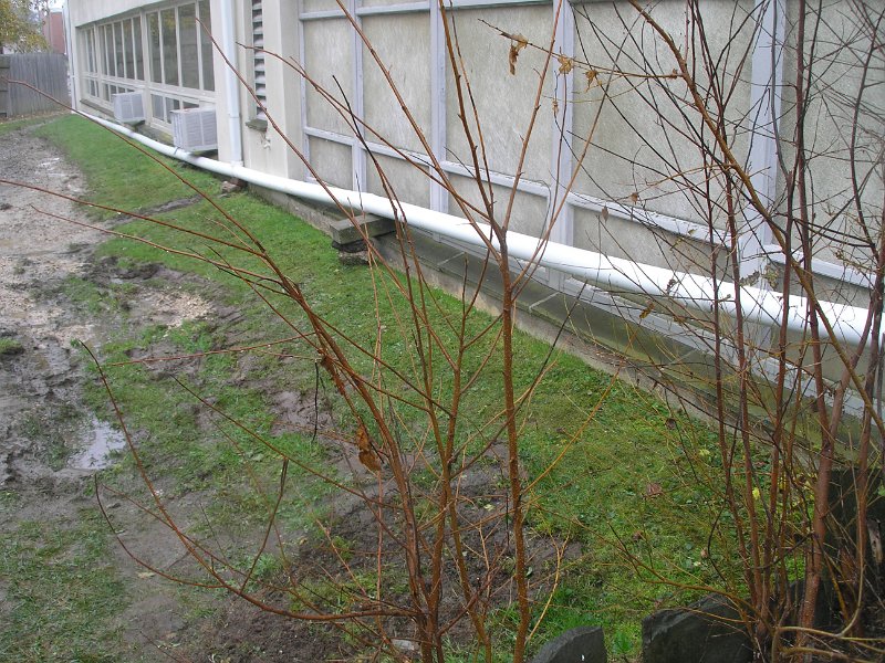 P1010312.JPG