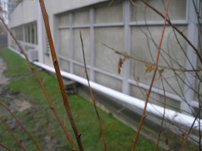P1010313.JPG