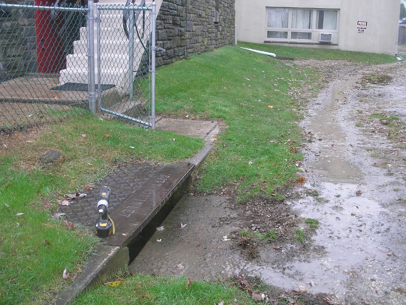 P1010317.JPG