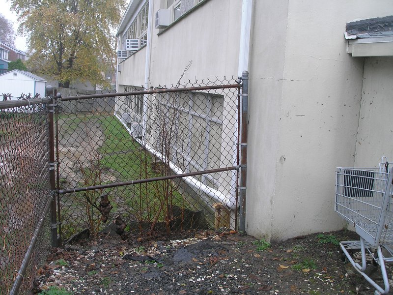 P1010333.JPG