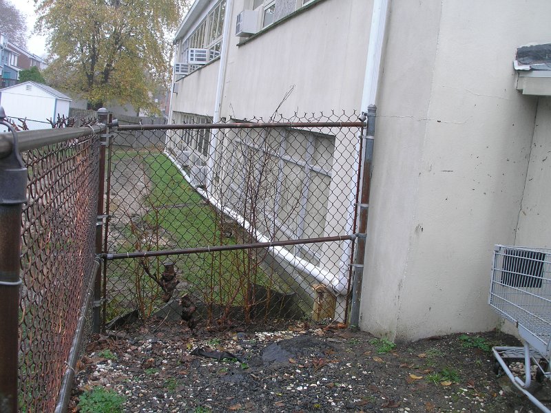 P1010334.JPG