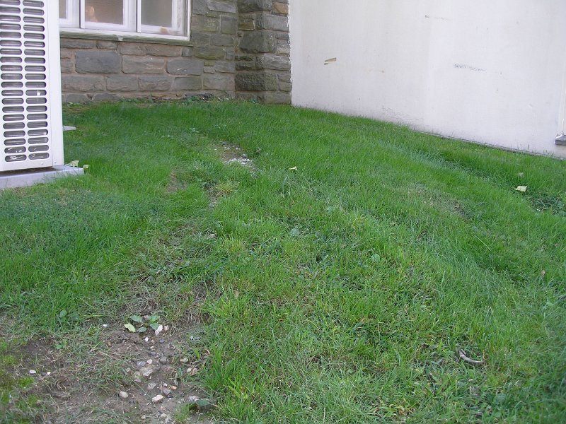P9140144.JPG