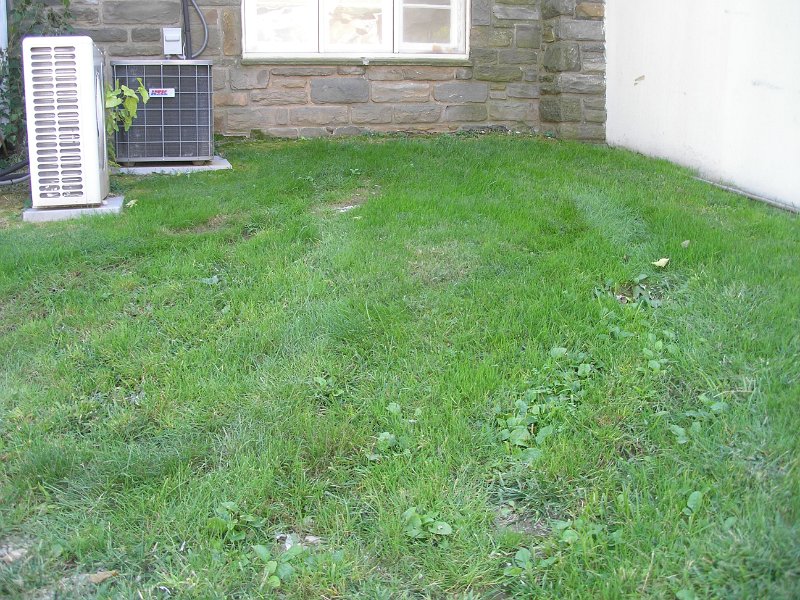 P9140145.JPG