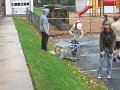 IMG_2281