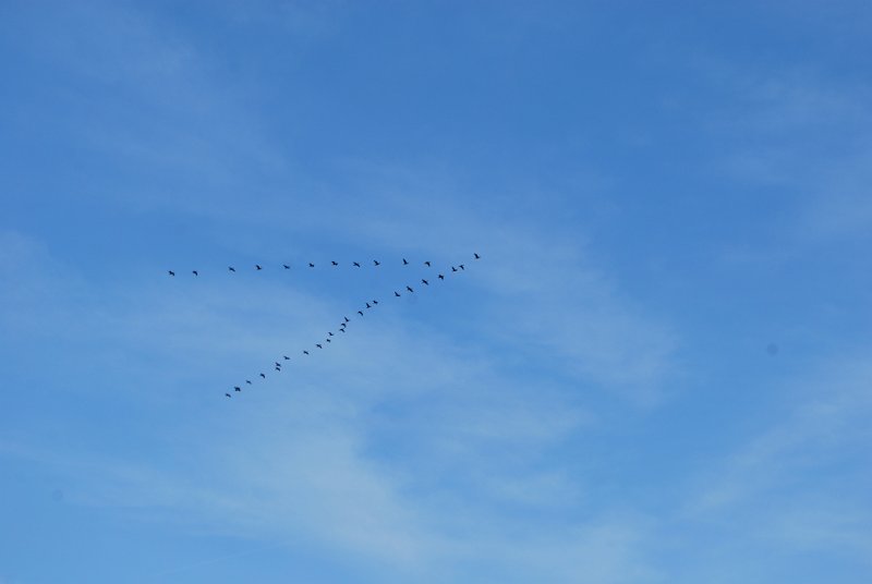 DSC_0072.JPG