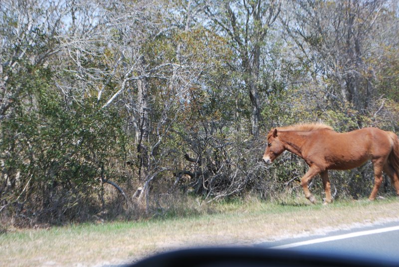 DSC_0152.JPG