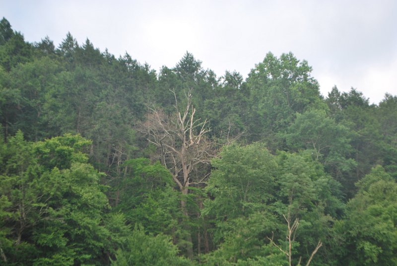 DSC_0062.JPG