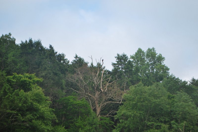 DSC_0063.JPG
