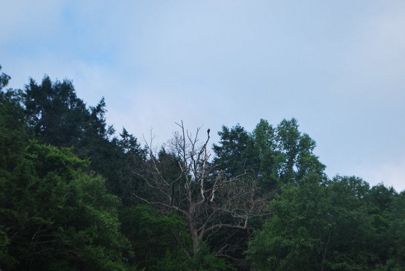 DSC_0064.JPG
