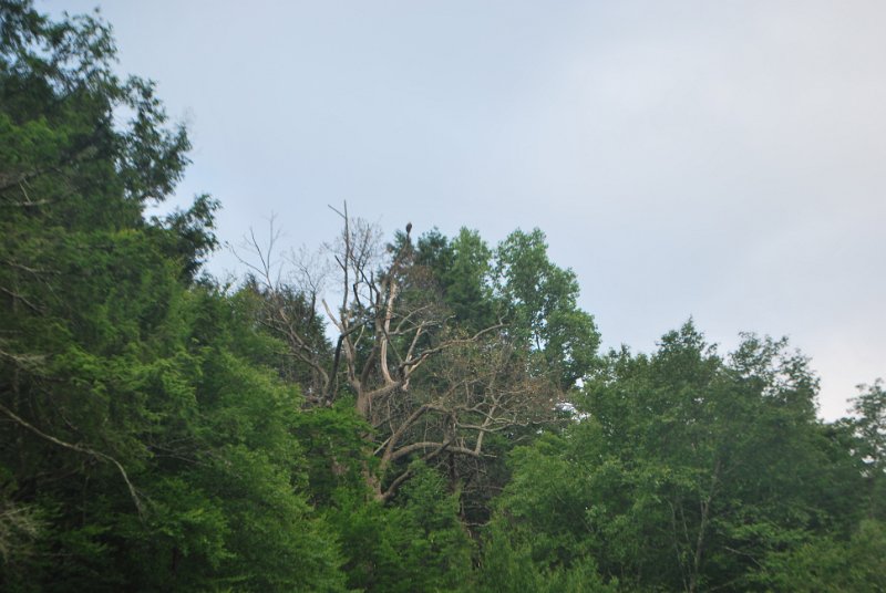 DSC_0065.JPG