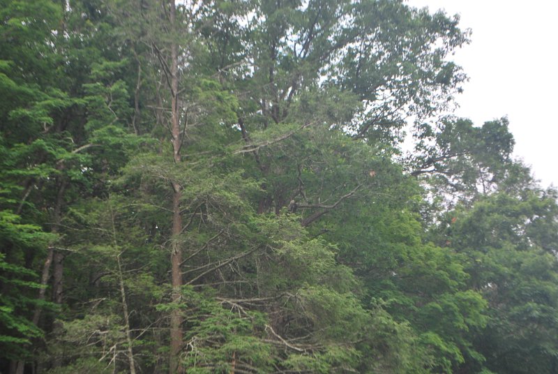 DSC_0067.JPG