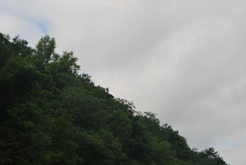DSC_0071.JPG