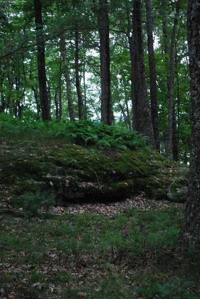 DSC_0213.JPG