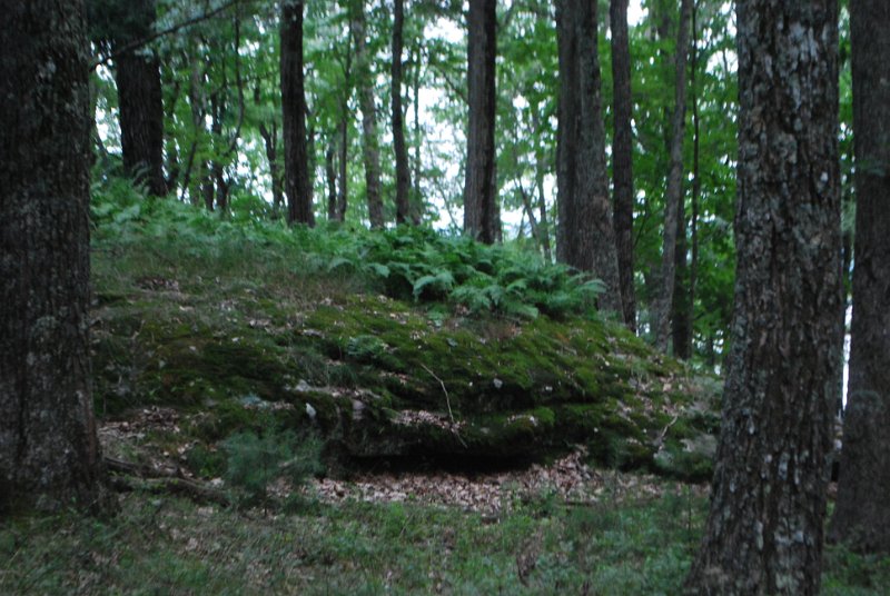 DSC_0214.JPG