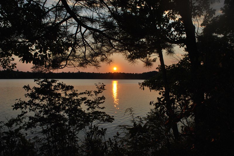 DSC_0038.JPG