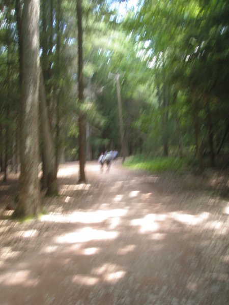 BSA_Keowa_20120709_133640.JPG
