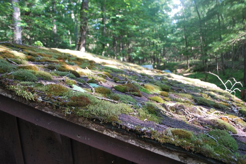 DSC_0014.JPG