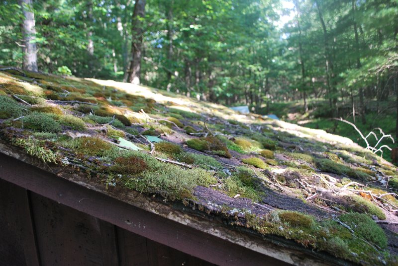 DSC_0015.JPG