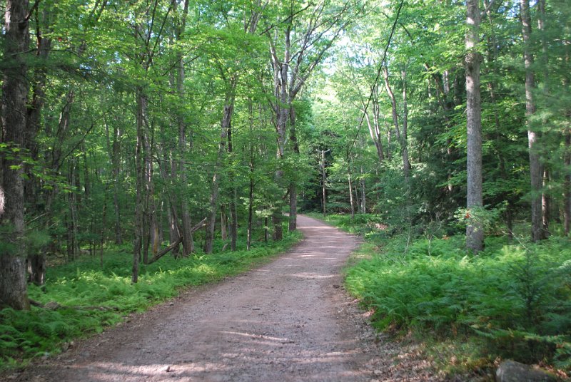 DSC_0023.JPG