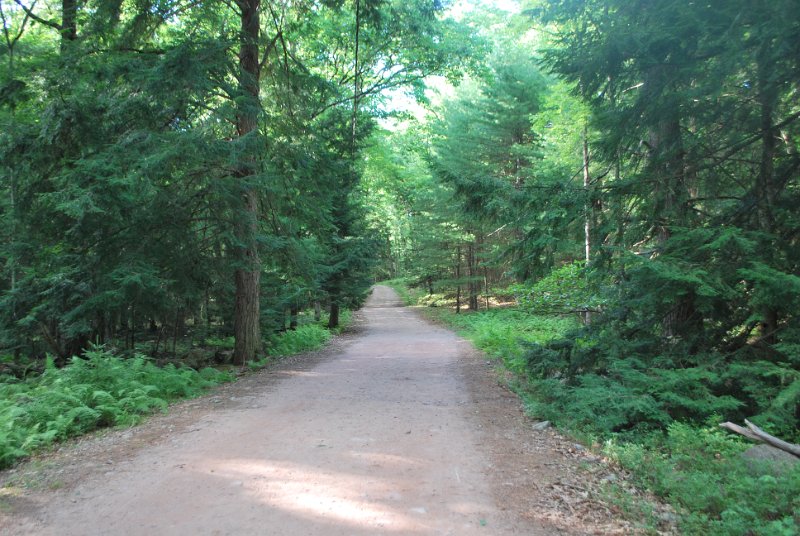 DSC_0026.JPG