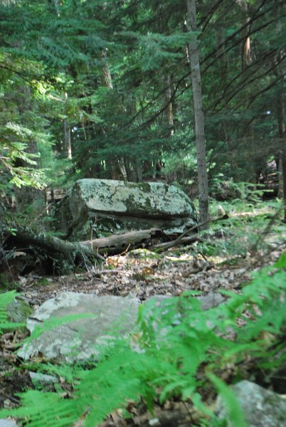 DSC_0027.JPG