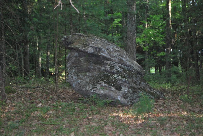 DSC_0029.JPG