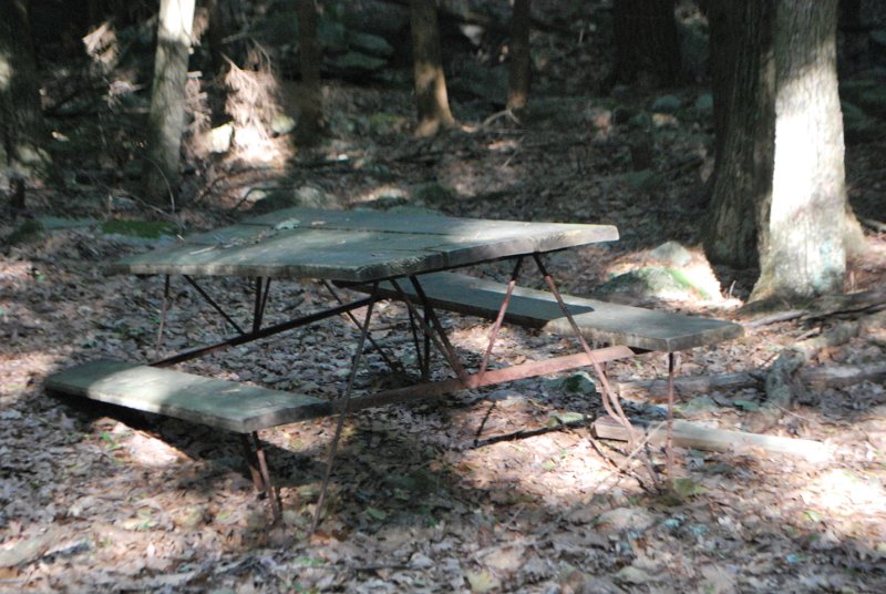 DSC_0031.JPG