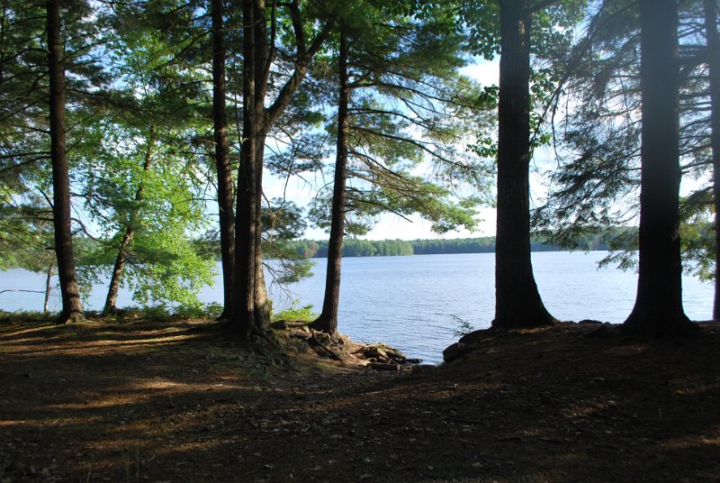 DSC_0033.JPG