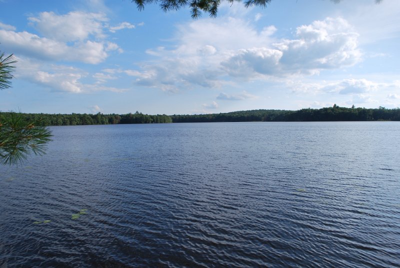 DSC_0035.JPG