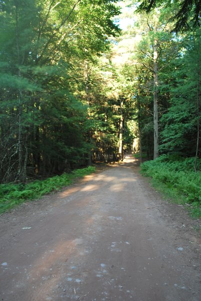 DSC_0045.JPG
