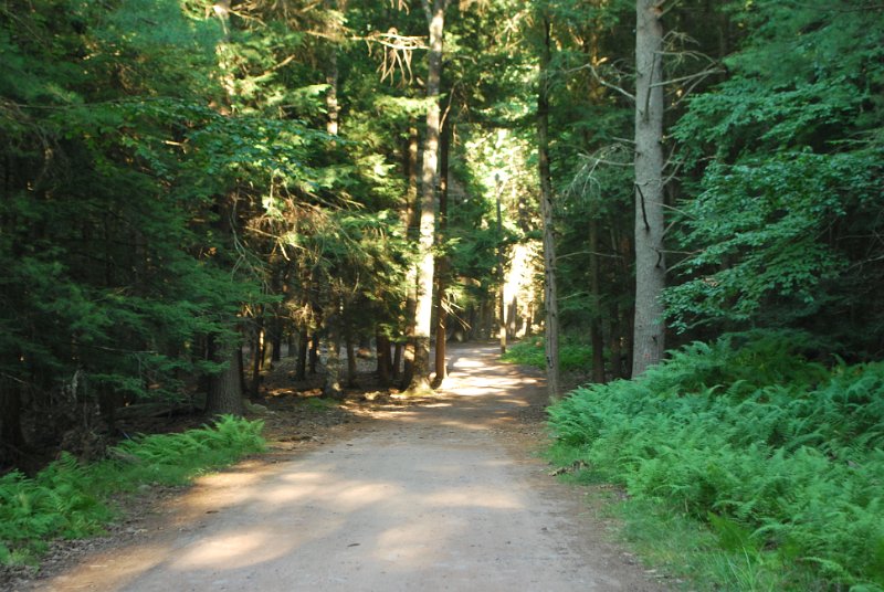 DSC_0046.JPG
