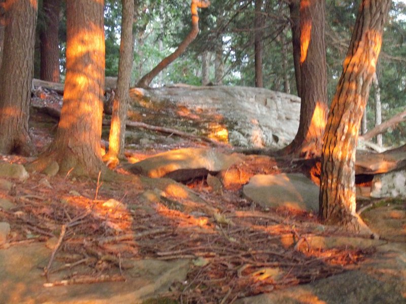 GEDC0717.JPG