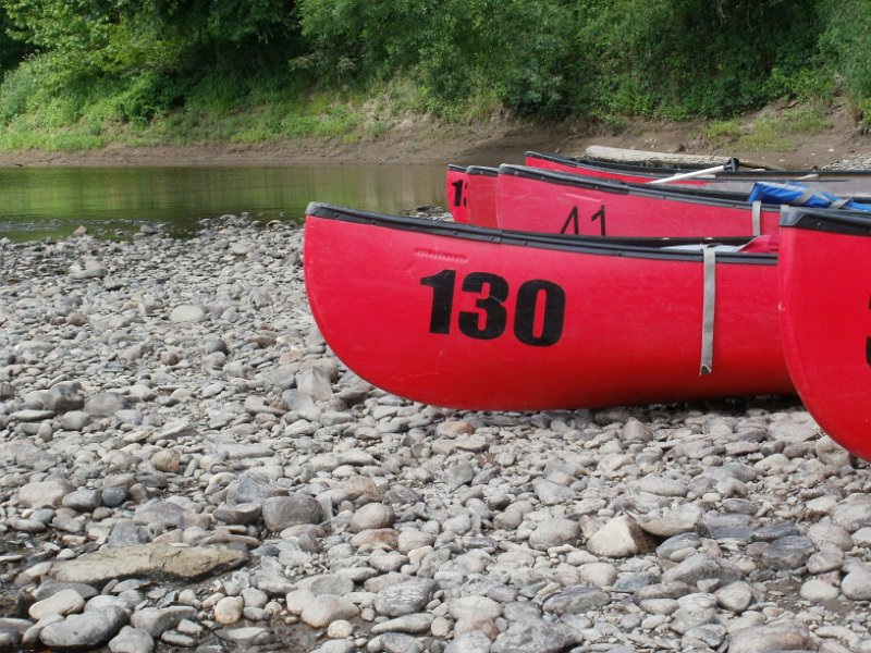 P6160243.JPG