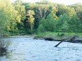 P6160289