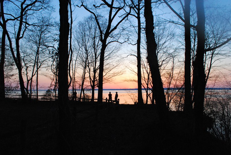 DSC_0029.JPG