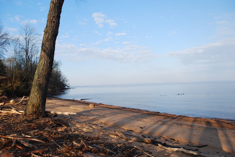 DSC_0058.JPG